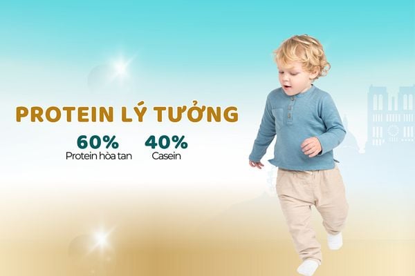 Tỷ lệ đạm Whey/Casein 60/40: Vì sao giúp bé dễ tiêu, phân mềm và hạn chế táo bón?