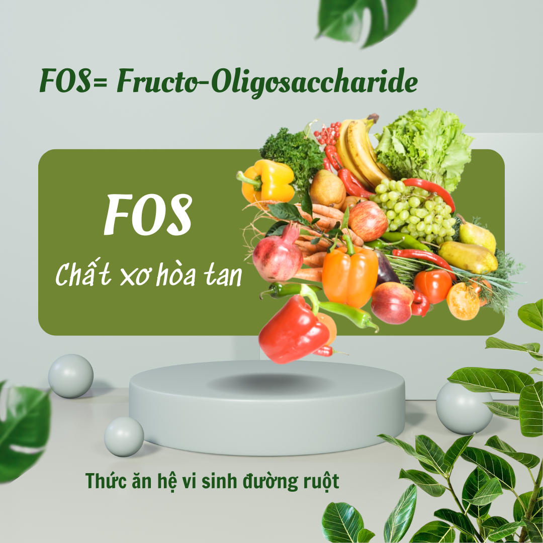 FOS là gì? Bí quyết giúp trẻ tiêu hóa khỏe, hấp thu tốt